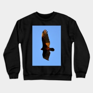 Turkey Vulture Crewneck Sweatshirt